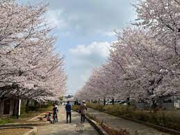 清水公園／野田市／千葉県／BBQ／配達／バーベキューレンタル／花見