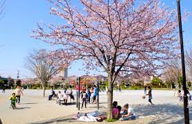大洲防災公園／花見／桜／BBQ／バーベキューレンタル／配達／千葉県／