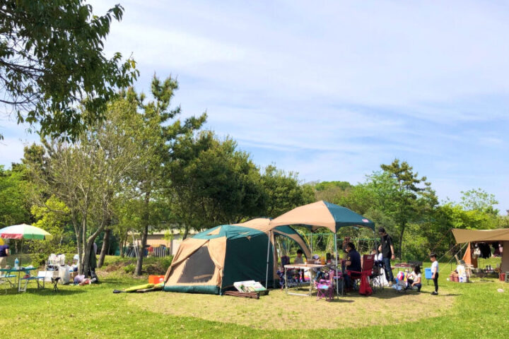 茨城のBBQレンタルで実現するチームビルディング 社員同士の交流を深めるイベント運営術