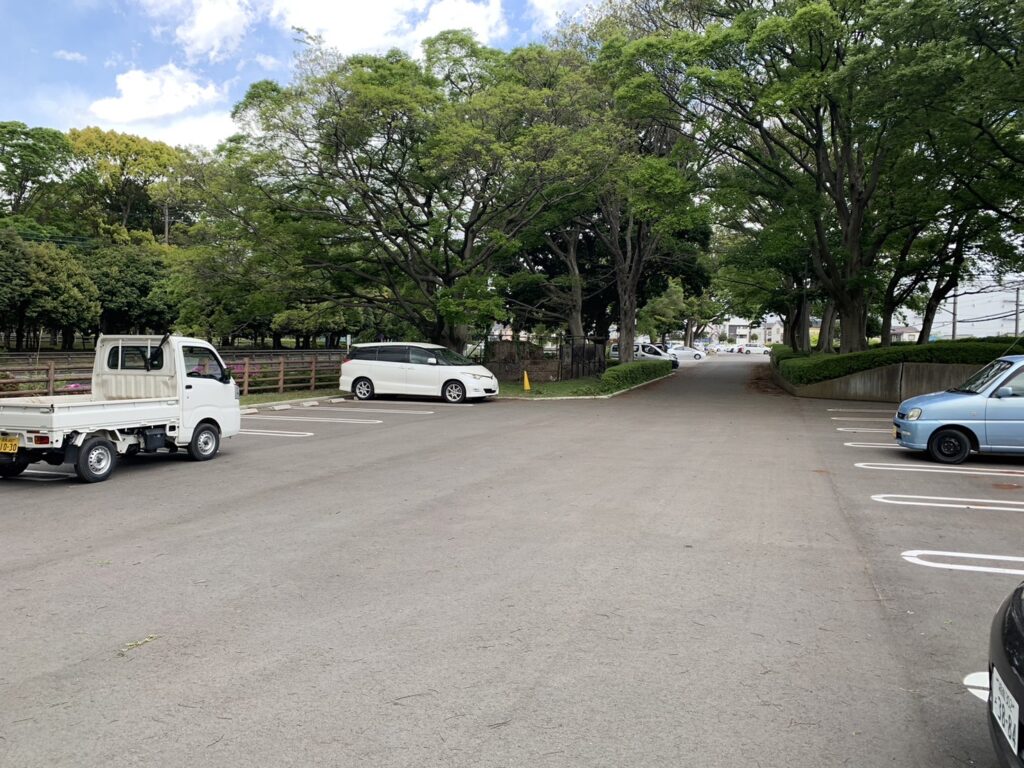 駐車場も数百台駐車可能