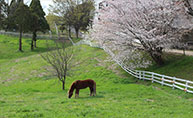 石ケ谷公園バーベキュー情報