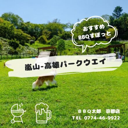 嵐山-高雄パークウエイ