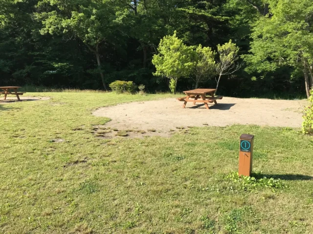 仙台水の森公園キャンプ場2