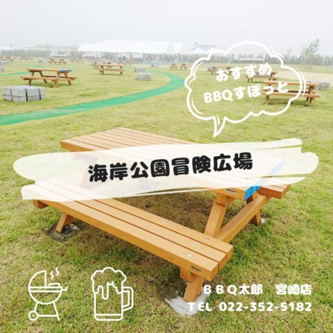 海岸公園冒険広場