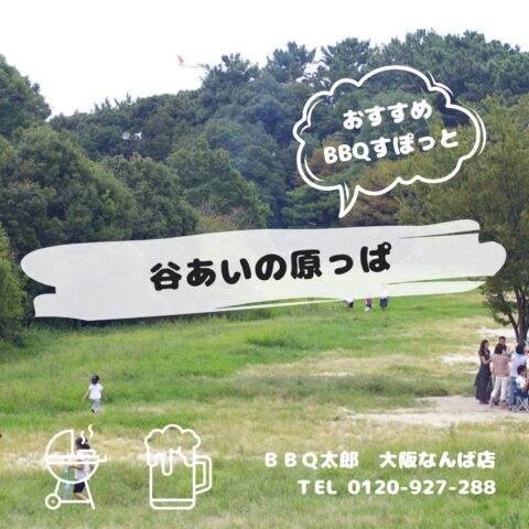 谷あいの原っぱ