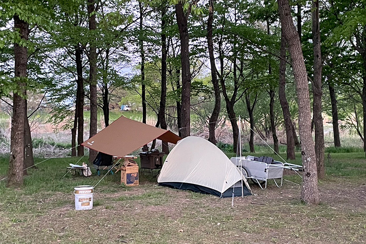 びん沼自然公園