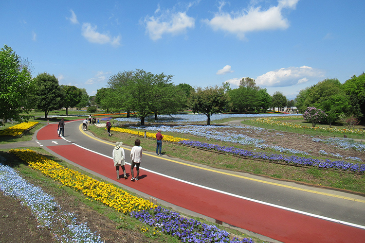熊谷スポーツ文化公園
