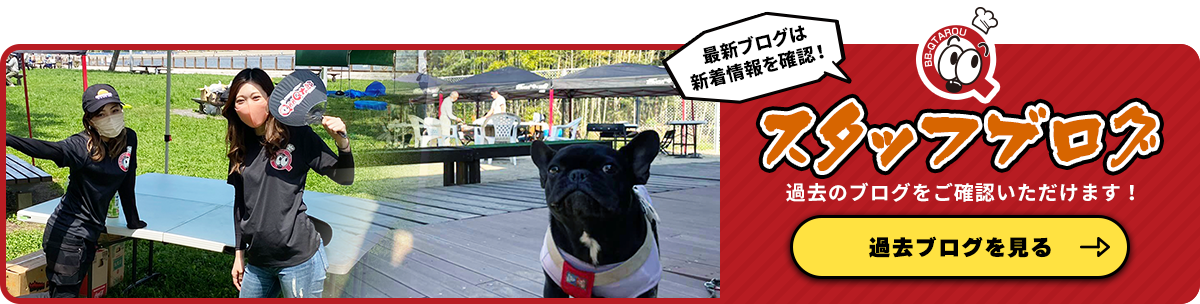 スタッフブログ