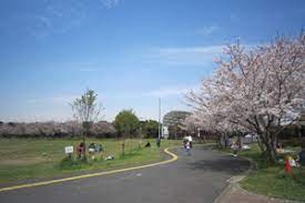 アグリパークゆめすぎと／杉戸町／埼玉県／桜／花見／BBQ／配達／バーベキューレンタル／