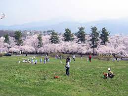 城山公園／埼玉県／桶川市／桜／花見／BBQ／配達／バーベキューレンタル／