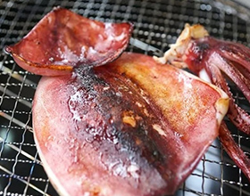 イカ一夜干