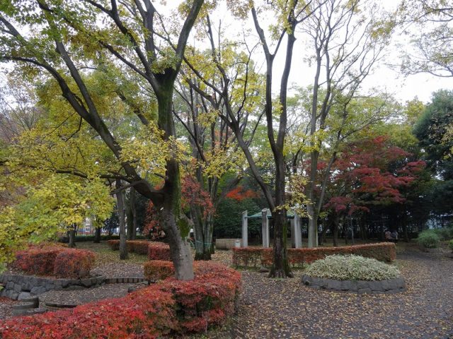 栗山公園/東京都/BBQ/バーベキュー/レンタル/手ぶら/配達/小金井市