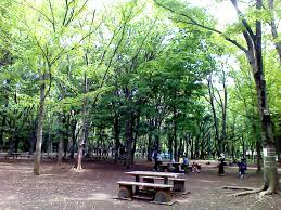 光が丘公園／東京／練馬区／BBQ／配達／バーベキューレンタル／