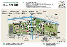 木場公園／配達／BBQ／バーベキューレンタル