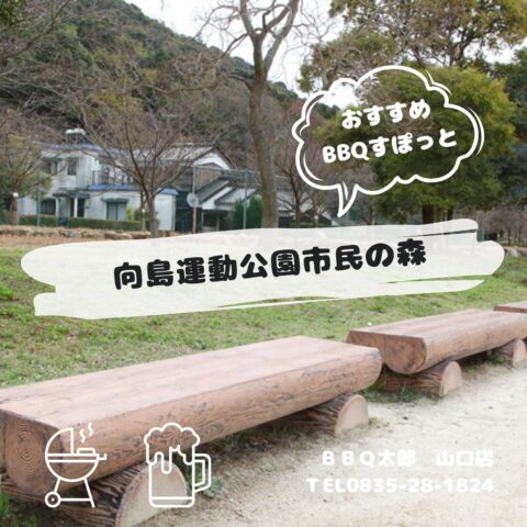向島運動公園市民の森